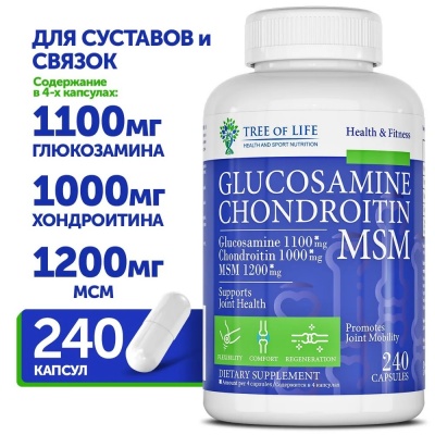  LIFE Glucosamine + Chondroitin + MSM 240 