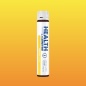 - Health Form L-carnitine 3300  25 
