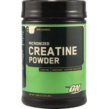  Optimum Nutrition Micronized creatine powder 1200 